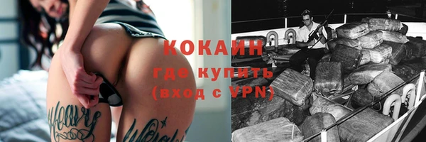 хмурый Горняк