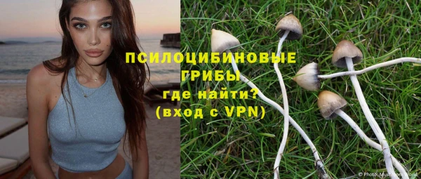 хмурый Горняк