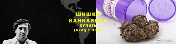 мяу мяу мука Горно-Алтайск