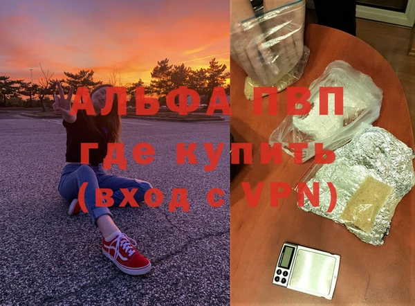 мяу мяу мука Горно-Алтайск