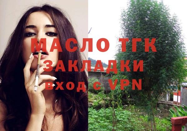 мяу мяу мука Горно-Алтайск